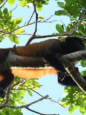 ecological-expedition-7