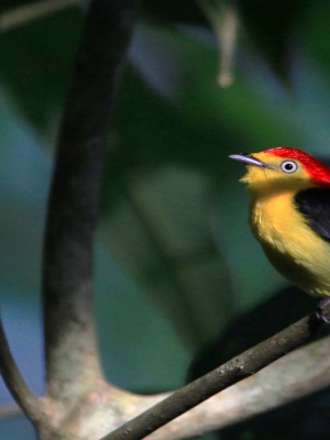 ecological-expedition-9