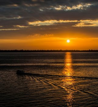 sun-4786672_1920